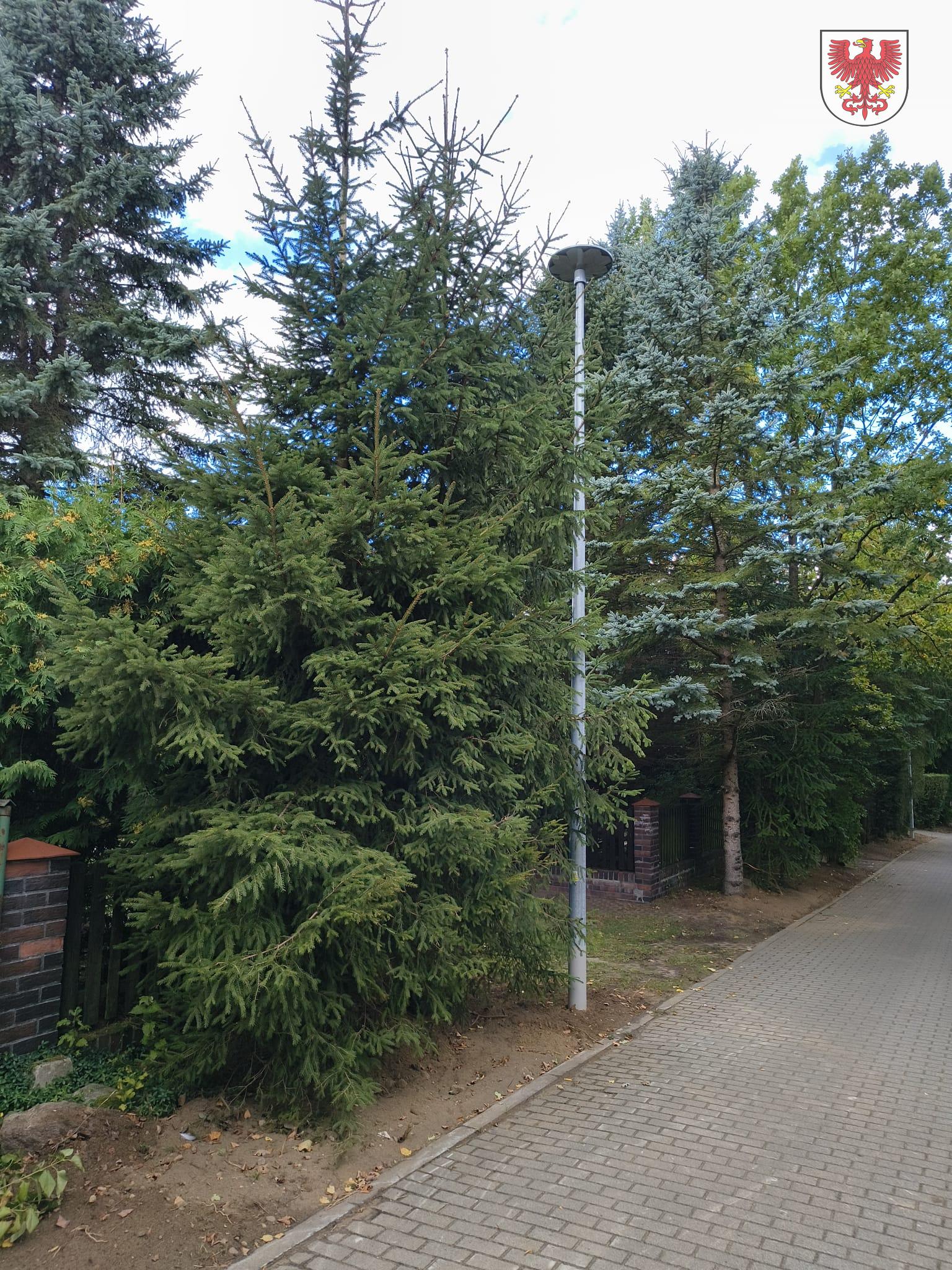 spacerowa2